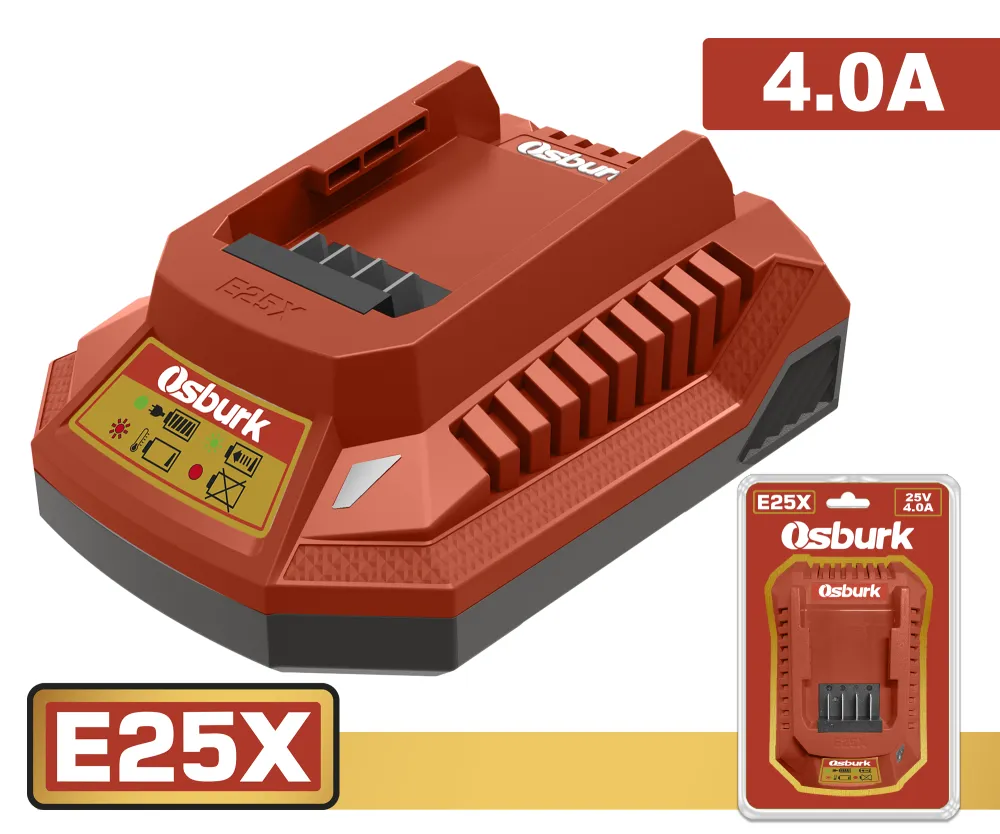 Cargador de Bateria 25V 40 Ah OSBURK KLBC25041-4
